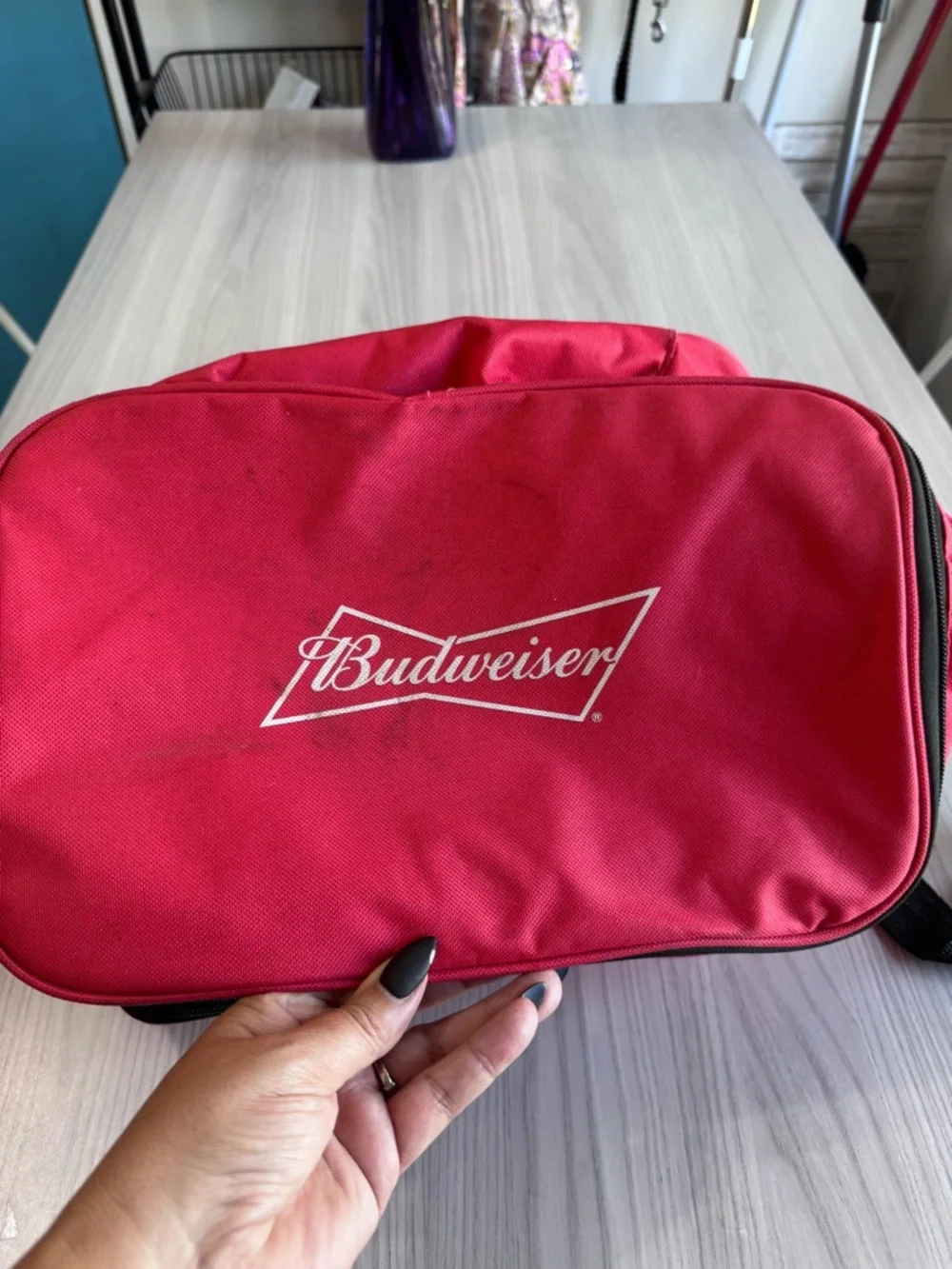 Budweiser BWSCB001 Bluetooth Speaker Cooler Bag